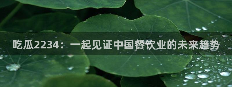 吃瓜网是全网更新最快:吃瓜2234:一起见证中国餐饮业的未来趋势