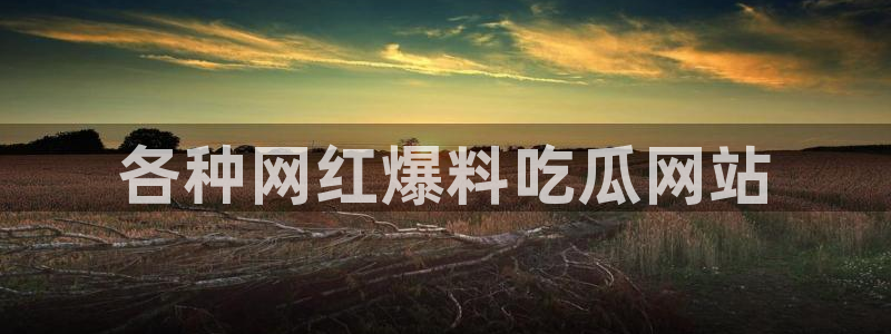 51吃瓜全网吃最快的瓜:各种网红爆料吃瓜网站