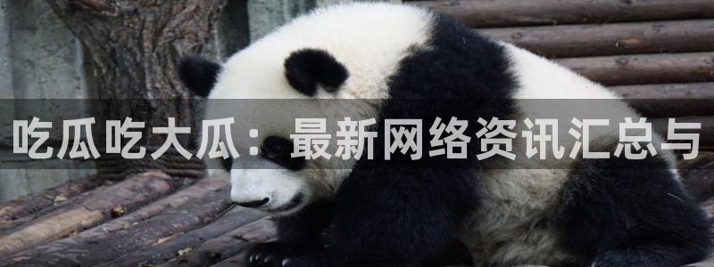 51吃瓜网小鹿酱:吃瓜吃大瓜:最新网络资讯汇总与