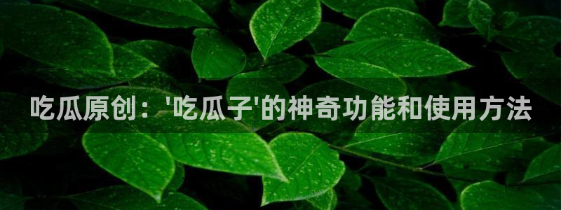51吃瓜全网更新最快的吃瓜网:吃瓜原创:\'吃瓜子\'的神奇功能和使用方法
