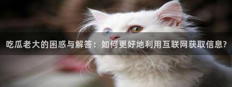 黑料揭秘:吃瓜老大的困惑与解答:如何更好地利用互联网获取信息?