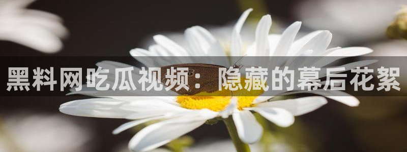 718.sⅹ 吃瓜:黑料网吃瓜视频:隐藏的幕后花絮