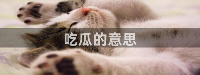 51吃瓜网今日吃瓜热门大瓜:吃瓜的意思