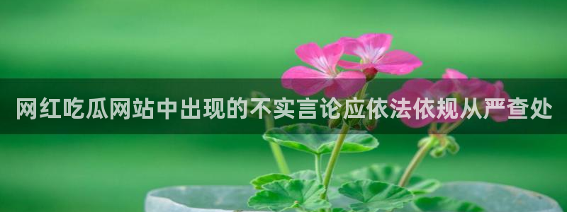 吃瓜的意思:网红吃瓜网站中出现的不实言论应依法依规从严查处