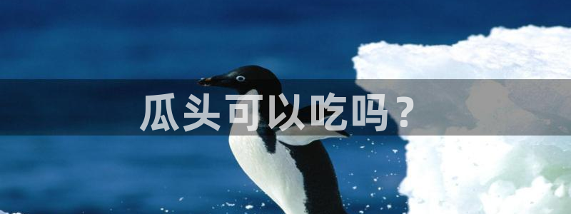 黑料下载:瓜头可以吃吗?