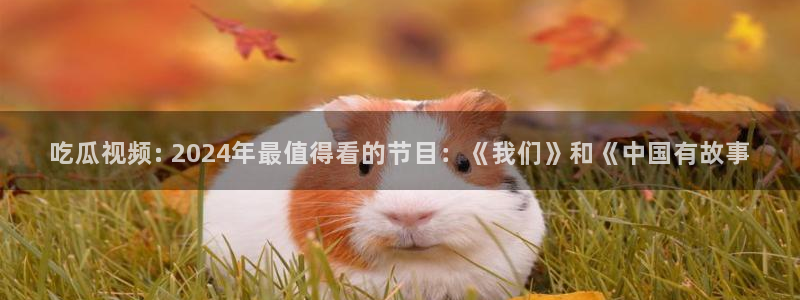 51吃瓜nanataipei:吃瓜视频: 2024年最值得看的节目:《我们》和《中国有故事