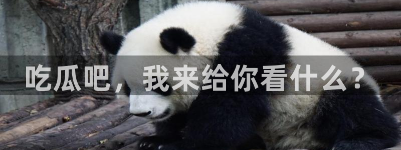 吃瓜是什么意思?:吃瓜吧,我来给你看什么?