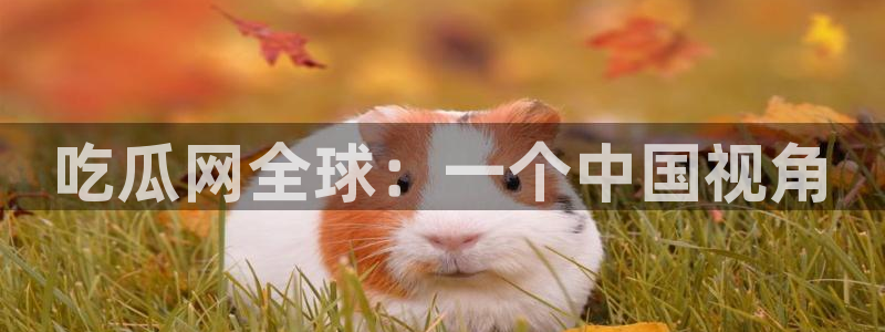 吃瓜网 今日吃瓜 热门大瓜:吃瓜网全球:一个中国视角